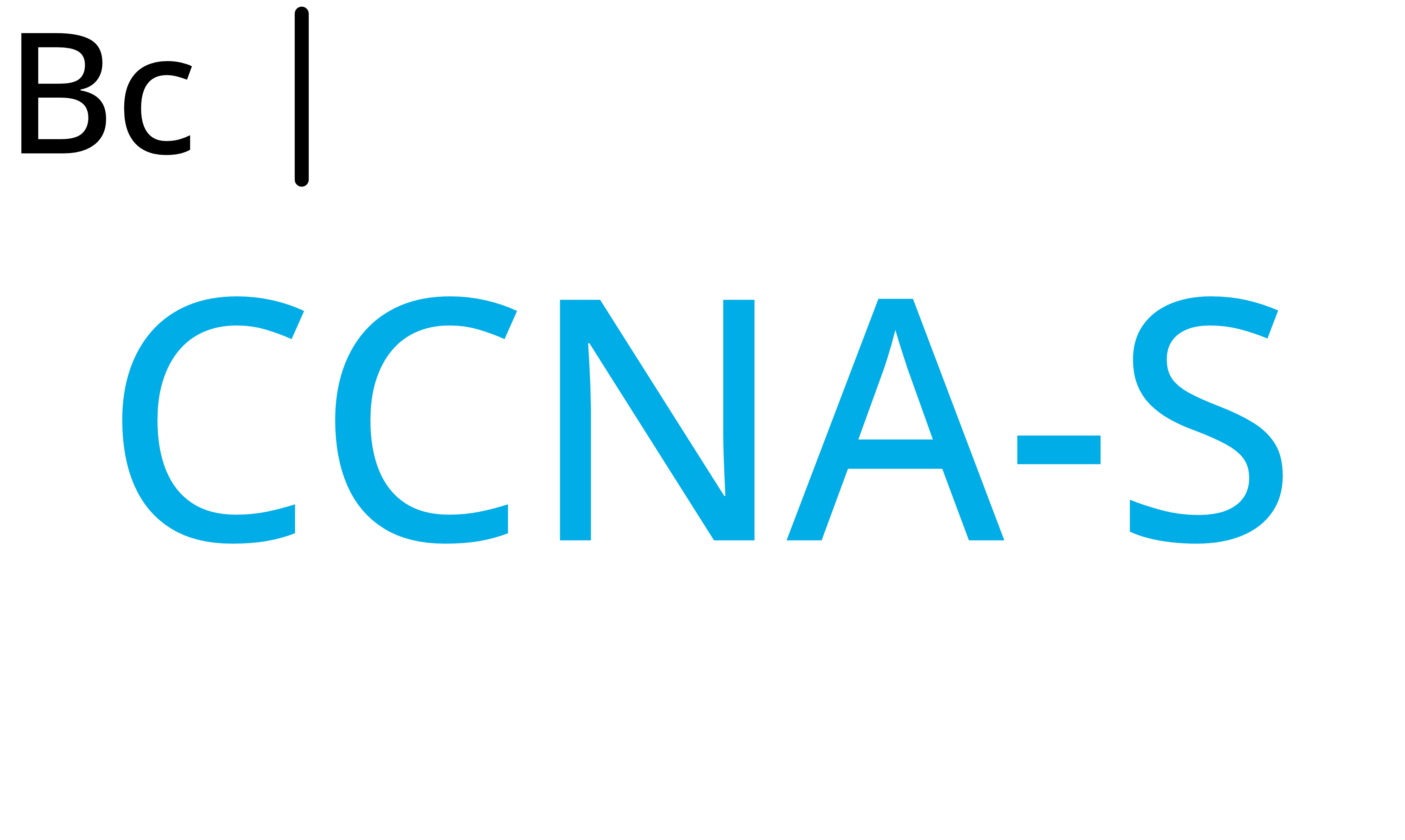 CCNA-2